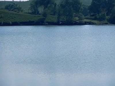 зариблене озеро в заміському комплексі DERGACHOV в селі Верем'я Київської області