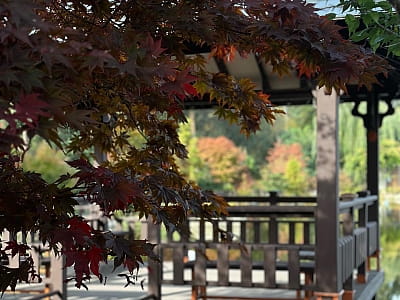 альтанка на березі озера в Eva Park у селі Віта-Поштова біля Києва