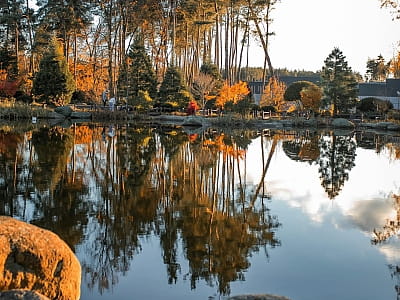 Eva Park у Віта-Поштовій – мальовничий ландшафтний парк із японським садом, водоспадами, озером і фотолокаціями. Відпочинок, фотосесії, івенти, гармонія.