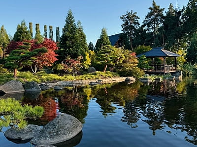 альтанка на березі озера в Eva Park у селі Віта-Поштова біля Києва