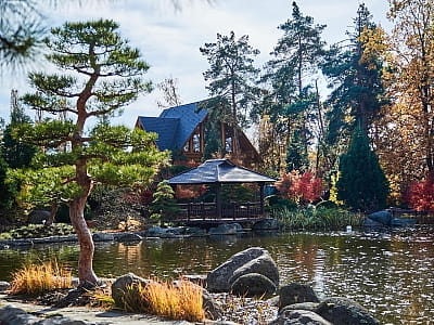 Eva Park у Віта-Поштовій – мальовничий ландшафтний парк із японським садом, водоспадами, озером і фотолокаціями. Відпочинок, фотосесії, івенти, гармонія.