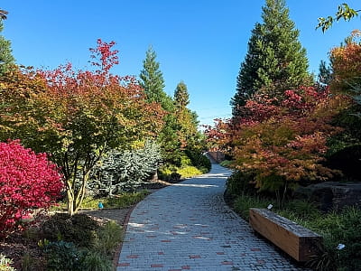 Eva Park у Віта-Поштовій – мальовничий ландшафтний парк із японським садом, водоспадами, озером і фотолокаціями. Відпочинок, фотосесії, івенти, гармонія.