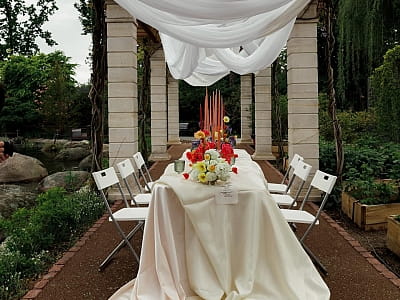 кафе та банкети в Eva Park у селі Віта-Поштова біля Києва