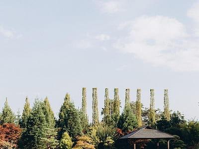 Eva Park у Віта-Поштовій – мальовничий ландшафтний парк із японським садом, водоспадами, озером і фотолокаціями. Відпочинок, фотосесії, івенти, гармонія.