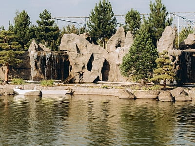 Eva Park у Віта-Поштовій – мальовничий ландшафтний парк із японським садом, водоспадами, озером і фотолокаціями. Відпочинок, фотосесії, івенти, гармонія.