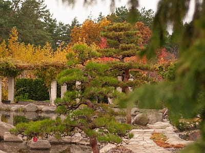 Eva Park у Віта-Поштовій – мальовничий ландшафтний парк із японським садом, водоспадами, озером і фотолокаціями. Відпочинок, фотосесії, івенти, гармонія.