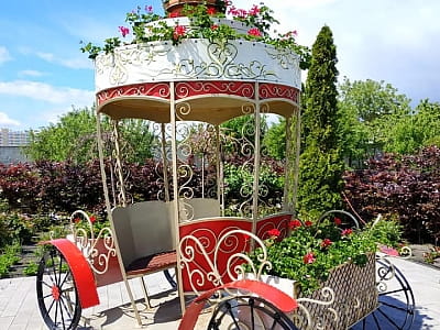 Відвідайте квітковий парк «Камелія» у Крюківщині — 10 садів світу, фотолокації, кафе, розваги та неймовірні квіткові інсталяції біля Києва.