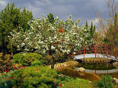 Квітковий сад «Камелія» — подорож у сади світу під Києвом