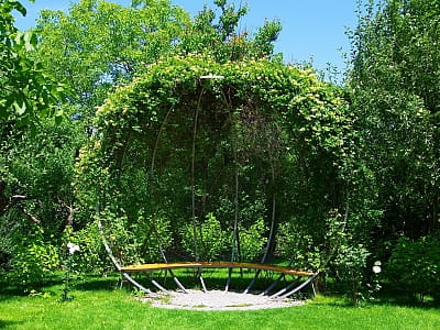 Квітковий сад «Камелія» — подорож у сади світу під Києвом