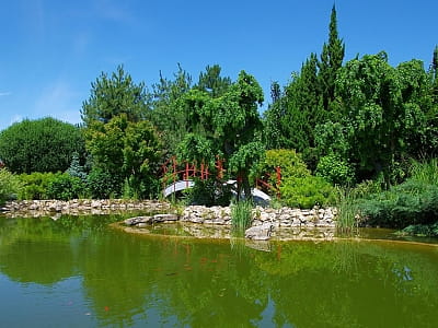 Відвідайте квітковий парк «Камелія» у Крюківщині — 10 садів світу, фотолокації, кафе, розваги та неймовірні квіткові інсталяції біля Києва.