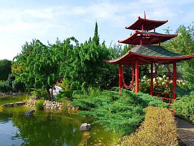 Квітковий сад «Камелія» — подорож у сади світу під Києвом