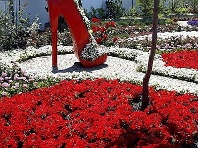 Відвідайте квітковий парк «Камелія» у Крюківщині — 10 садів світу, фотолокації, кафе, розваги та неймовірні квіткові інсталяції біля Києва.