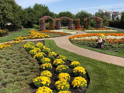 Квітковий сад «Камелія» — подорож у сади світу під Києвом