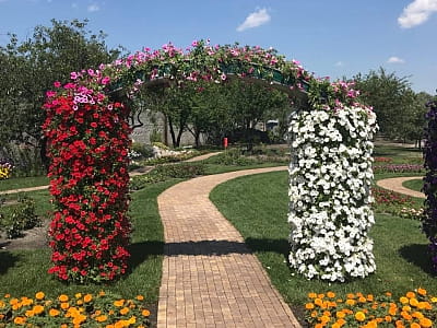 Квітковий сад «Камелія» — подорож у сади світу під Києвом