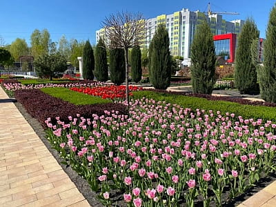 Квітковий сад «Камелія» — подорож у сади світу під Києвом