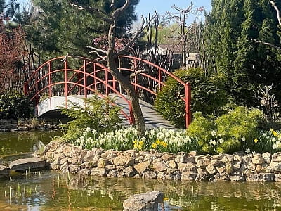 Квітковий сад «Камелія» — подорож у сади світу під Києвом