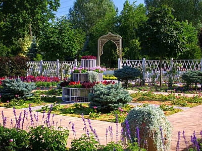 Відвідайте квітковий парк «Камелія» у Крюківщині — 10 садів світу, фотолокації, кафе, розваги та неймовірні квіткові інсталяції біля Києва.