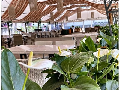 кафе в квітковому саду «Камелія» у Крюківщині