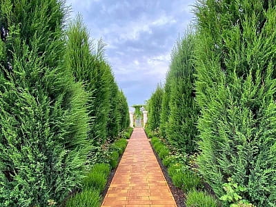 Відвідайте квітковий парк «Камелія» у Крюківщині — 10 садів світу, фотолокації, кафе, розваги та неймовірні квіткові інсталяції біля Києва.