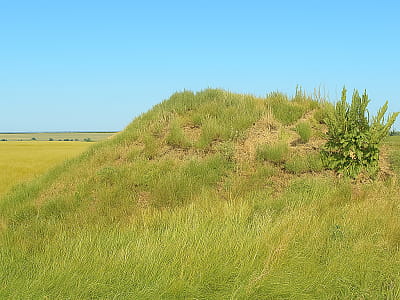 Скіфський курган Чортомлик — царське поховання IV ст. до н.е. біля Нікополя. Відомий розкопками І. Забєліна та знахідкою славнозвісної амфори.