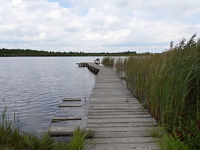 Озеро Охотин, відоме також як Хотин, — мальовнича водойма на Волині, розташована на околиці села Любче Ковельського району.