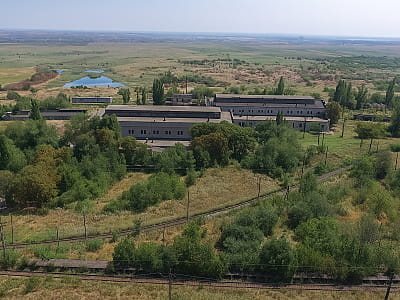 Товста Могила — скіфський курган і золота пектораль з Покрова