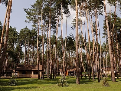 Заміський комплекс «Тихий Ліс» — парк-готель на березі Дніпра серед соснового лісу. Відпочинок, басейн, ресторан, будиночки, активності та події на природі.