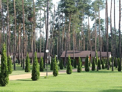 Заміський комплекс «Тихий Ліс» — парк-готель на березі Дніпра серед соснового лісу. Відпочинок, басейн, ресторан, будиночки, активності та події на природі.