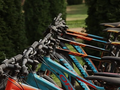 велосипеди в заміському комплексі «Тихий Ліс» на березі Дніпра