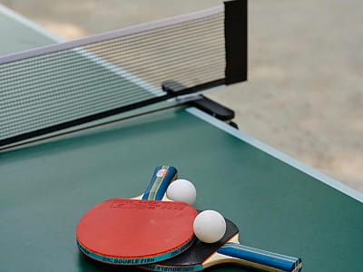 Настільний теніс в заміському комплексі «Тихий Ліс» на березі Дніпра