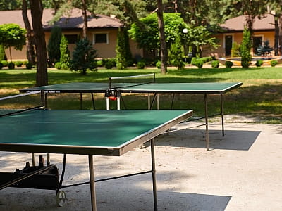 Настільний теніс в заміському комплексі «Тихий Ліс» на березі Дніпра