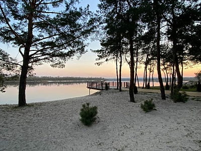 Заміський комплекс «Тихий Ліс» — відпочинок серед природи на Дніпрі