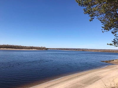 Заміський комплекс «Тихий Ліс» — відпочинок серед природи на Дніпрі