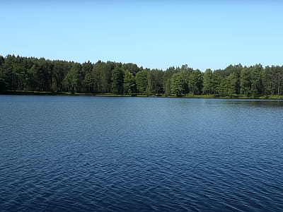 Озеро Заболоцьке (Волове Око) — найглибша перлина Волині