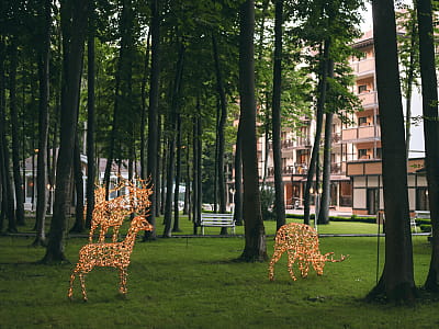 Заміський комплекс «Застава» — місце для відпочинку на природі з комфортом: готель, ресторан, лазня, розваги, літній басейн та події у мальовничій локації.