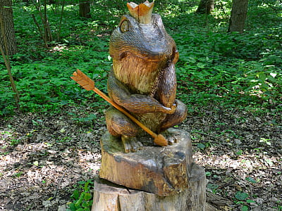 Казковий ліс в заміському комплексі ZASTAVA (Застава) біля Умані