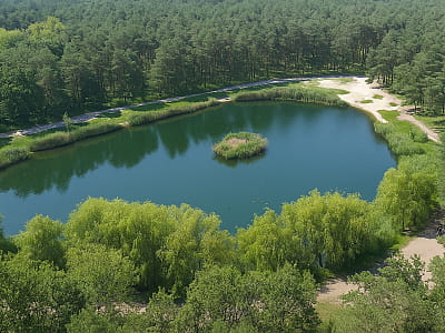 Озеро Блакитне в парку Партизанської слави — мальовнича водойма Києва для спокійного відпочинку, риболовлі та прогулянок серед соснового лісу.