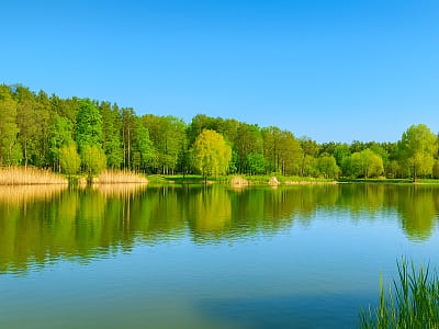 Червонохуторські озера у парку «Партизанська слава» — мальовнича зона відпочинку з трьома водоймами, пляжами, риболовлею та прогулянковими стежками.