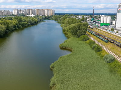 Озеро Лугове — мальовнича водойма системи Опечень у Києві. Ідеальне місце для риболовлі, прогулянок і спокійного відпочинку на природі.