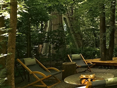 NAMETY PARK — глемпінг серед лісу на ВДНГ у Києві для особливого відпочинку