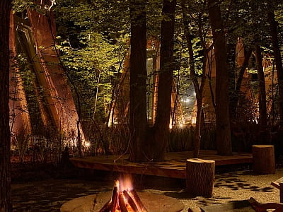 NAMETY PARK — дизайнерські павільйони серед лісу на ВДНГ у Києві: затишний відпочинок, тераси, офуро, сауни, BBQ та доступ до численних подій і гастролокацій.