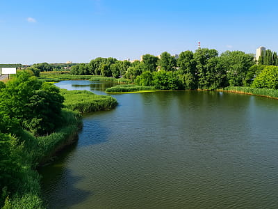 Озеро Нижній Тельбин (іноді — Нижній Тельбін) розташоване в Дарницькому районі Києва, поблизу вулиці Канальної. 
