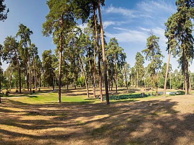 Парк «Партизанської Слави» в Києві: природа, озера та меморіали