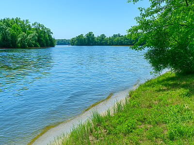 Озеро Русанівське — мальовнича стариця Дніпра серед Русанівських садів у Києві. Ідеальне місце для риболовлі, прогулянок і спокійного відпочинку.