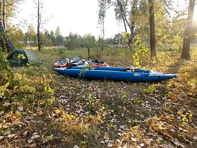 Річка Десна — найбільший лівий приток Дніпра з чистими водами, заплавними лісами та давньою історією. Відпочинок, риболовля, подорожі.