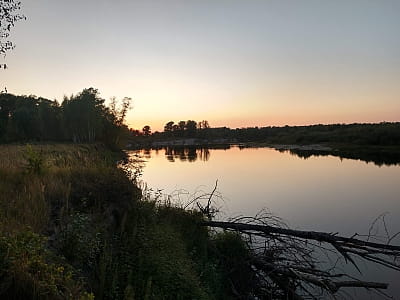Річка Десна — найбільший лівий приток Дніпра з чистими водами, заплавними лісами та давньою історією. Відпочинок, риболовля, подорожі.