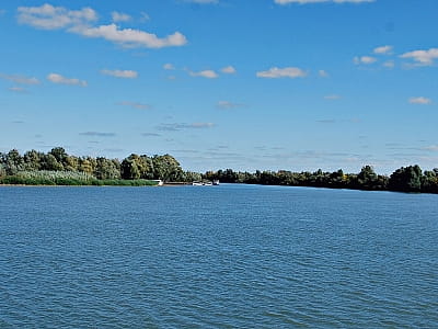 Дунай — велика європейська річка, що тече й через Україну. Дізнайтеся про її характери, природу, можливості відпочинку, пам’ятки та як дістатися до найкращих локацій.