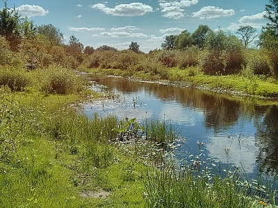 Річка Хорол у Полтавській області: витоки, течія, природа, історія, риболовля, відпочинок і мальовничі місця на берегах.