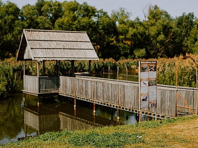 озеро в заміському комплексі Хутір «Козацька Долина» у селі Карбівка Кіровоградської області