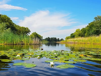 Дізнайтесь про річку Оріль в Україні: витоки, течія, природа, історія, відпочинок, риболовля, оглядові локації та як дістатися до берегів для фото і рекреації.